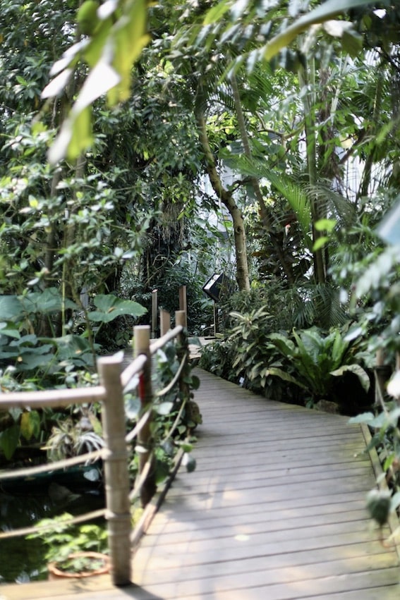 Botanische Gärten in der Nähe des Thüringer Waldes