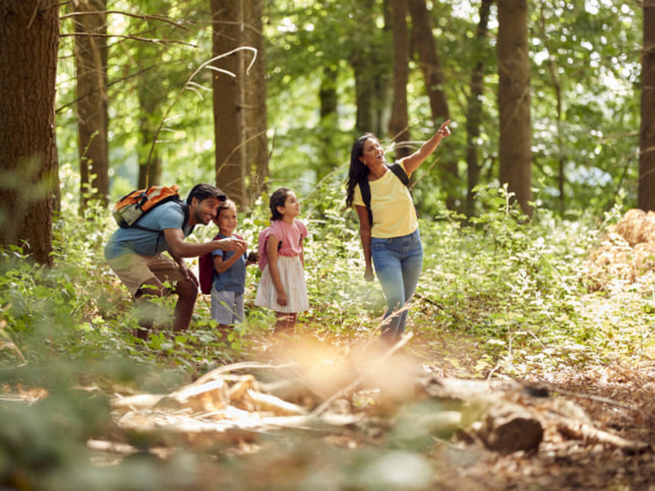 5 Ausflugsziele für den Sommer im Thüringer Wald